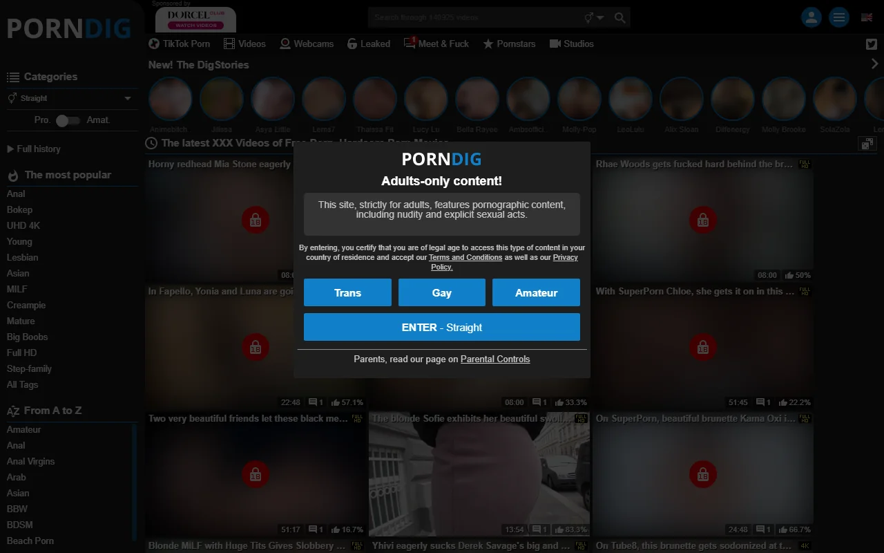 Screenshot: Porndig Screenshot of Porndig